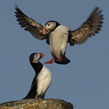 Foto: Arne Str&oslash;mme, "Lunde" 