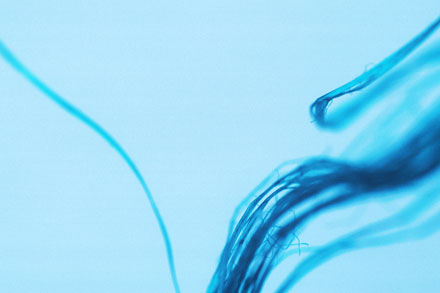 Foto: &copy; Arne Str&oslash;mme, "S&oslash;ppel 02"