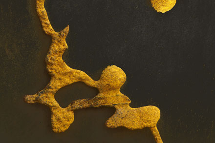 Foto: &copy; Arne Str&oslash;mme, "S&oslash;ppel 03"