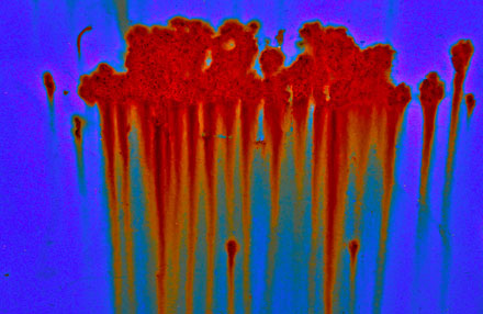 Foto: &copy; Marit Sporsheim, "Rustbl&aring;"