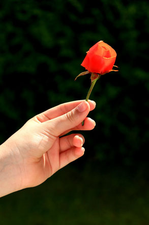 Foto: &copy; Abdelmuhaymin Abbas, "Gave til deg"