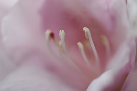 Foto: &copy; Abbas Abdelmuhaymin