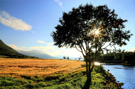 Foto: &copy; Abdelmuhaymin Abbas, "Sommer 2016"