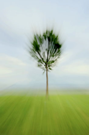 Foto: &copy; Abdelmuhaymin Abbas, "V&aring;r"