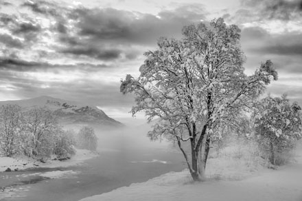 Foto: &copy; Abdelmuhaymin Abbas, "Vinter i Fr&aelig;na"