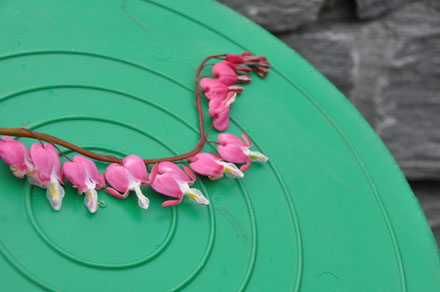 Foto: &copy; Anniken Kortgaard