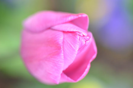 Foto: &copy; Anni Kari Pedersen