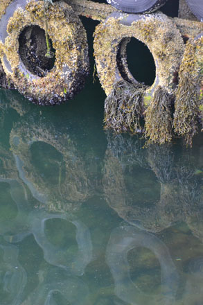 Foto: &copy; Anni Kari Pedersen