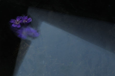 Foto: &copy; Arne Str&oslash;mme