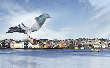 Foto: &copy; Berit Barlaup, "&AElig; ska vis d&aelig; vainndamman fra lufta"