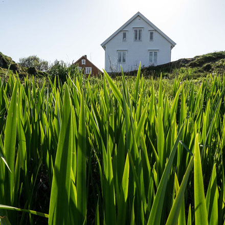 Foto: &copy; Bj&oslash;rn Ivar Haugen, "Bj&oslash;rnsund i kveldssol"