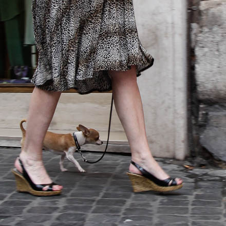 Foto: &copy; Bj&oslash;rn Ivar Haugen, "Dame med hund"