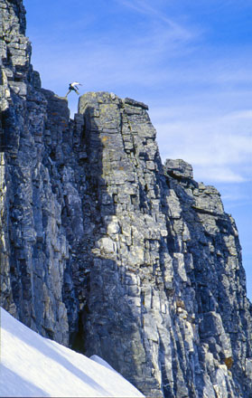 Foto: &copy; Bj&oslash;rn Ivar Haugen, "I steget II"