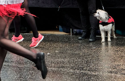 Foto: &copy; Bj&oslash;rn Ivar Haugen, "Parade". 