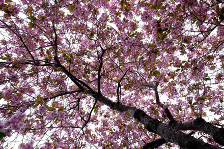 Foto: &copy; Bj&oslash;rn Ivar Haugen