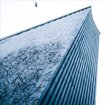 Foto: &copy; Bj&oslash;rn Ivar Haugen, "Steikandes pr&aelig;ktig"