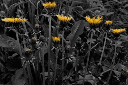 Foto: &copy; Bj&oslash;rn Ivar Haugen