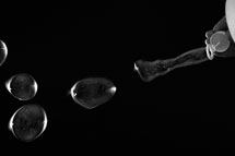 &Aring;rets fotograf 2009