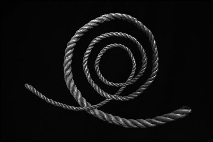 Foto: &copy; Bjarne Nyg&aring;rd, "Bare kr&oslash;ll"