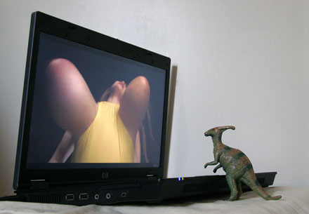 Foto: &copy; Bjarne Nyg&aring;rd, "Flying tits"