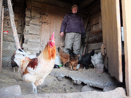 Foto: &copy; Bjarne Nyg&aring;rd