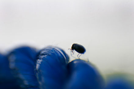 Foto: &copy; Bjarne Nyg&aring;rd, "P&aring; vandring"