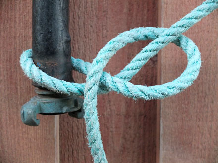 Foto: &copy; Bjarne Nyg&aring;rd