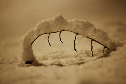 Foto: &copy; Belinda Renee Dragset, "En tung byrde &aring; b&aelig;re"