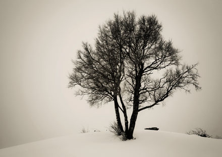 Foto: &copy; Belinda Renee Dragset, "Ensomhetens tre"