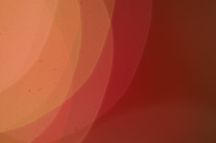 Foto: &copy; Belinda Ren&egrave;e Dragset