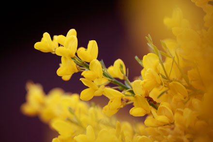 Foto: &copy; Belinda Ren&egrave;e Dragset 