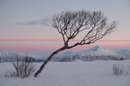 Foto: &copy; Belinda Ren&egrave;e Dragset, "Vinter p&aring; Gisl&oslash;ya"