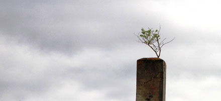 Foto: &copy; Eivind Sverre &Aring;slid, "De e'kje s&aring; mang bya s&aring;m har pipe med kvist" 