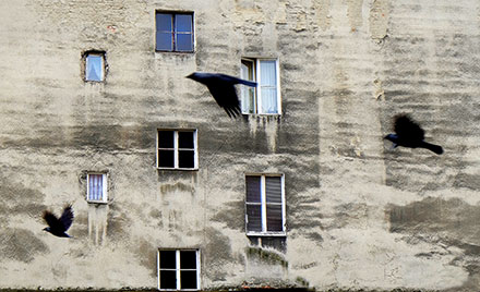 Foto: &copy; Eivind &Aring;slid