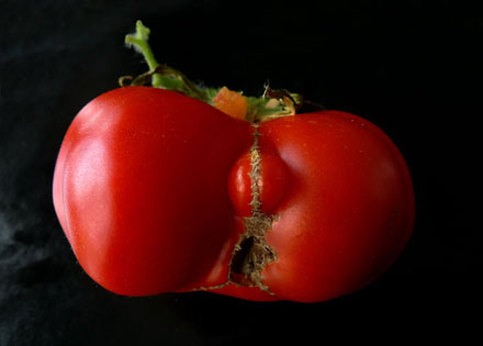 Foto: &copy; Eivind &Aring;slid, "Nude"