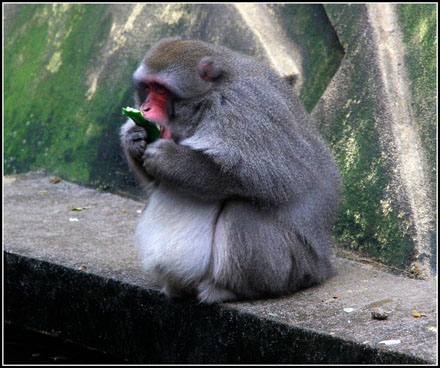 Foto: &copy; Eivind Sverre &Aring;slid, "Siesta"