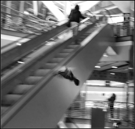 Foto: &copy; Eivind Sverre &Aring;slid, "Take off"