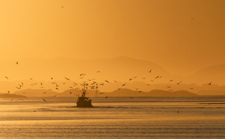 Foto: &copy; &Oslash;ystein Wiik