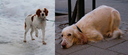 Foto: &copy; Eli Sunde Eidskrem, "Frozen"