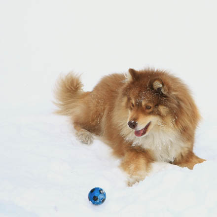 Foto: &copy; Eli Sunde-Eidskrem, "Lek"