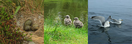 Foto: &copy; Leif Erling Aasan, "Gdansk"