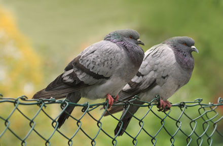 Foto: &copy; Eli Sunde Eidskrem, "Veit mor di at du e heer?"