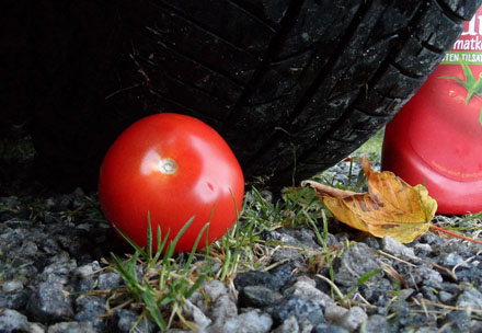 Foto: &copy; Idar Andreassen, uten tittel