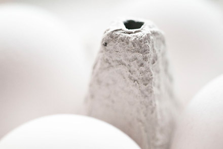 Foto: &copy; Jonas Hallberg Eggen, "Egg"