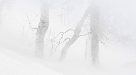 Foto: &copy; Jonas Hallberg Eggen, "Fokk"