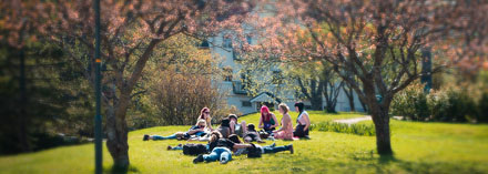 Foto: &copy; Jonas Hallberg Eggen, "F&oslash;rr n&aring;kka tamminga"