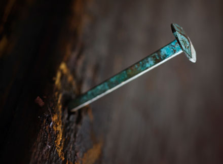 Foto: &copy; Jonas Hallberg Eggen, "Kobbersaum"