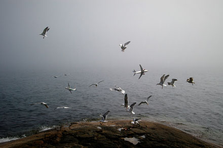 Foto: &copy; Jonas Hallberg Eggen, "Luftkamp"