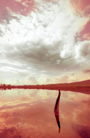 Foto: &copy; Jonas Hallberg Eggen, "R&oslash;d sj&oslash;"