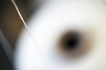 Foto: &copy; Jonas Hallberg Eggen, "Snelle"